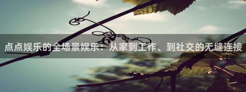 百达娱乐